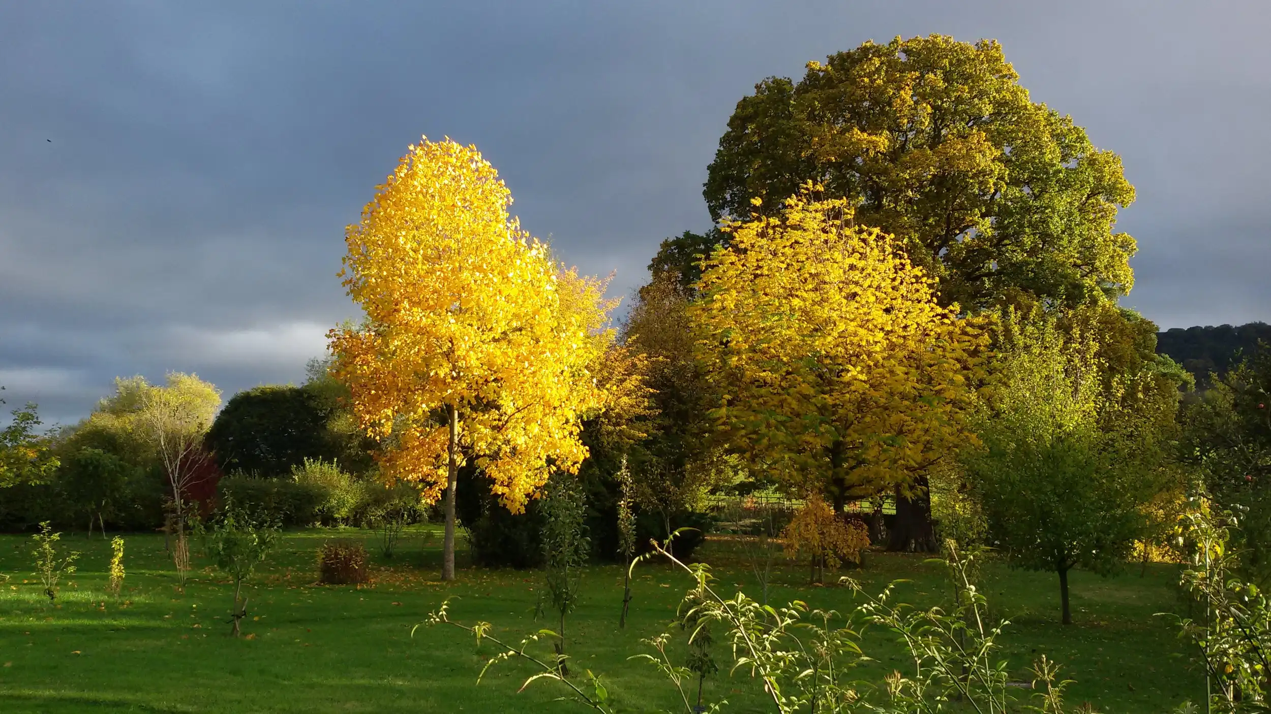 20151021_164913