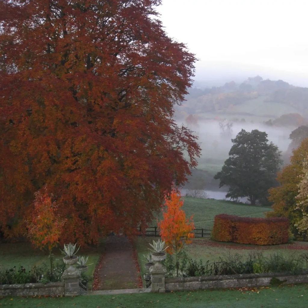 View Over the Wye