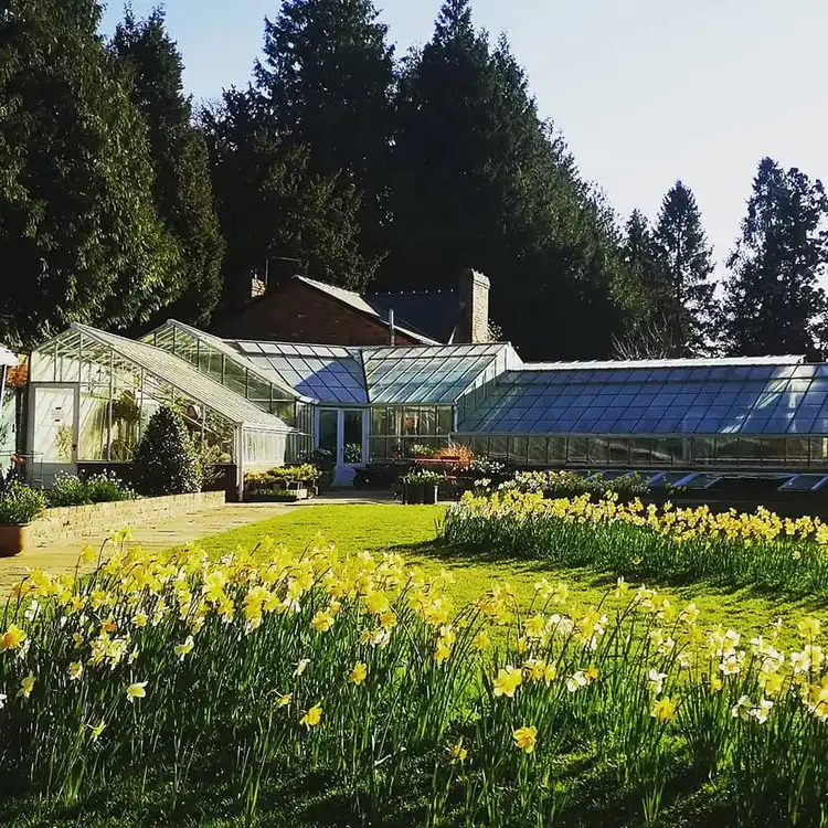 Kitchen_Garden_Victorian+green+house+and+daffodils