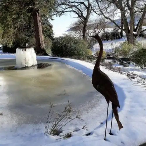 Frozen Pond