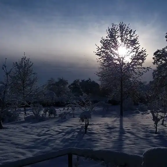 Sunset Over the Orchard